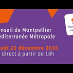 Embedded thumbnail for Conseil de Métropole extraordinaire du jeudi 22 décembre 2016 