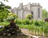 Pignan - abbaye de Vignogoul